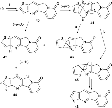 Reagents and conditions: i. (Me3Sn)2, t-BuPh, 150 °C, 48 h (44, 60%).