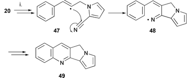 Reagents and conditions: i. (Me3Sn)2, t-BuPh, 150 °C, 48 h (49, 3%).