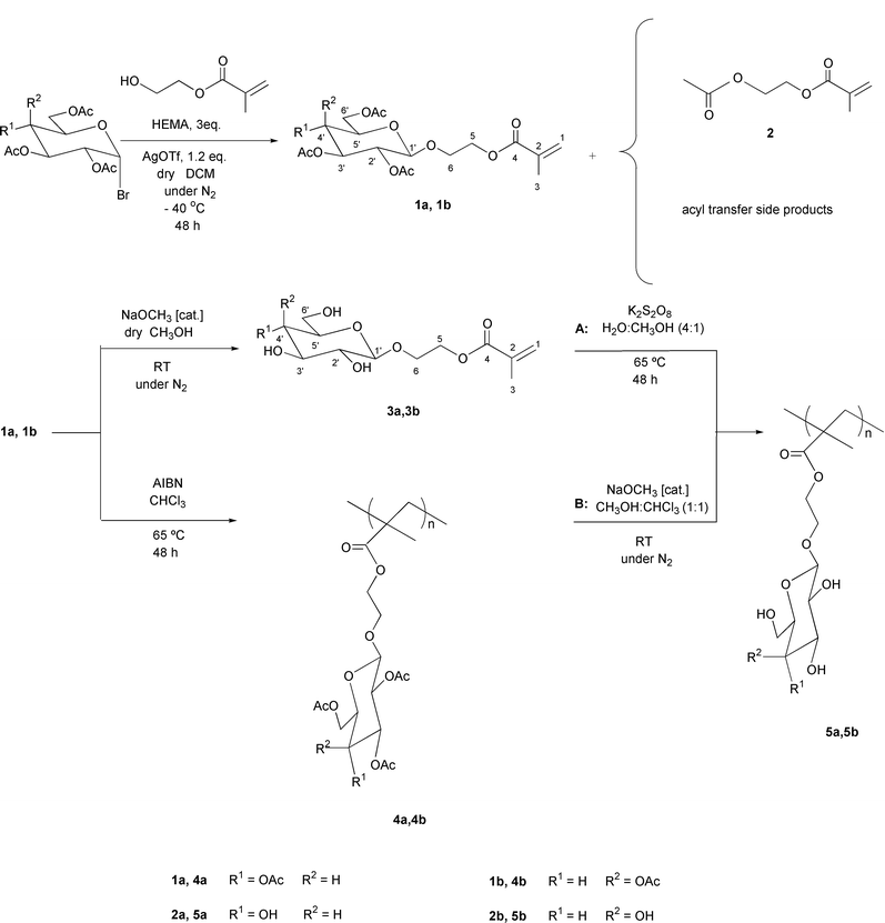 Influence of preparation procedure on polymer composition: synthesis ...