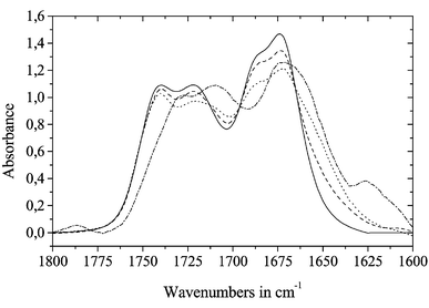 Carbonyl and amide I region of Z-Ala-Ala-Ala-OMe dissolved in methylene chloride and on addition of defined amounts of HFiP (solid line: pure peptide solution, dashed: 1 ml solution +
ca. 1μl HFiP, dotted: 1 ml solution + 5 μl HFiP, dash-dotted: 1 ml solution + 110 μl HFiP)
