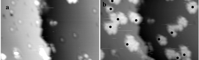 Occupied state STM images (215 Å
× 130 Å, −2.1 V, 44 pA) of an H-terminated Si(111) surface with isolated dangling bonds created by desorption activated with the STM tip. (a) before dosing with styrene and, (b) after exposure to 12 L of styrene. The black dots in (b) mark the positions of the initial dangling bonds, showing that these sites serve to nucleate the growth of styrene islands (from ref. 38).