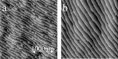 Contact AFM images from ref. 58 (3 × 3 μm2) of Si(111)–OC10H21 formed by the thermal reaction of (a) neat decanol and (b) decanol containing 5 percent v/v chlorotrimethylsilane. In the absence of water there are few etch pits on the surface.