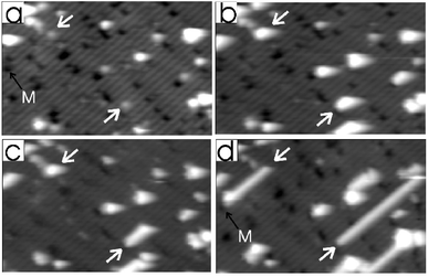 Sequence of STM images (250 Å
× 140 Å, −2.1 V, 47 pA) of a H-terminated Si(100) surface with a dilute concentration of single dangling bonds upon increasing exposure to (a) 3 L, (b) 28 L, (c) 50 L, (d) 105 L of styrene. The white arrows denote two particular dangling bond sites which lead to the growth of long styrene lines. The missing dimer defect (M) marked in the figure terminates the growth of the line in the top left hand corner of the image (from ref. 35).