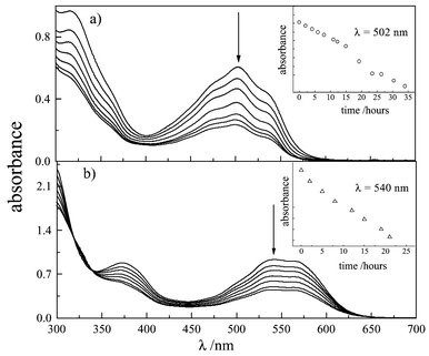 Effect of irradiation on the absorption spectrum of DMSO solutions of carminic acid (7.7 × 10−5 mol dm−3) in the absence (a) and in the presence (b) of arabic gum (1 ∶ 100 v/v). Inserts: bleaching kinetics followed at constant wavelength.
