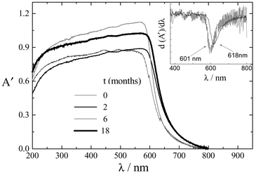 Effect of irradiation on the reflectance spectrum of water-painted paper with carminic lake. A′
= log 1/R (R is the reflectance signal).