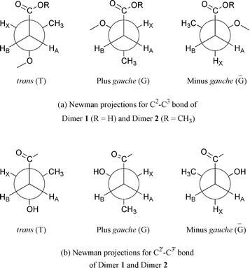 Newman projections of possible conformers of 3HB dimers for C2–C3 bond (a) and C2′–C3′ bond (b).