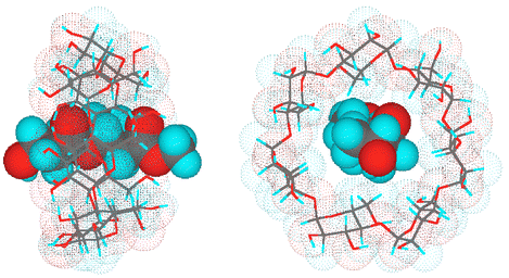 Proposed structure of Dimer 2–β-CD complex (left, side view; right, top view).