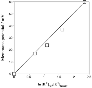 Membrane potentials as a function of the ratio of KCl concentrations in the cis and the trans chamber separated by a planar bilayer containing 1. Conditions: [K+]trans
= 100 mM, pH = 7.2, lipid/1
= 100 ∶ 1 (w/w). The solid line shows a theoretical Nernstian slope.