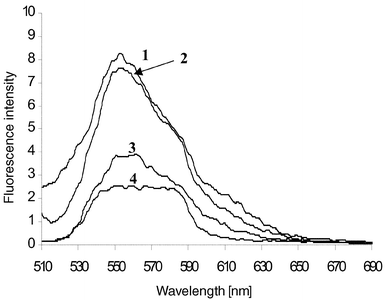 The fluorescence emission spectra of 2 when excited at 485 nm in 50 ∶ 50 H2O–MeOH: 1, 2 at pH 2 (HCl); 2, 2 in the presence of tetrabutylammonium hydroxide (TBAOH) and in the presence of 0.3 M Na+; 3, 2 at pH ∼2 (TBAOH); 4, 2 at pH ∼2 (NaOH).