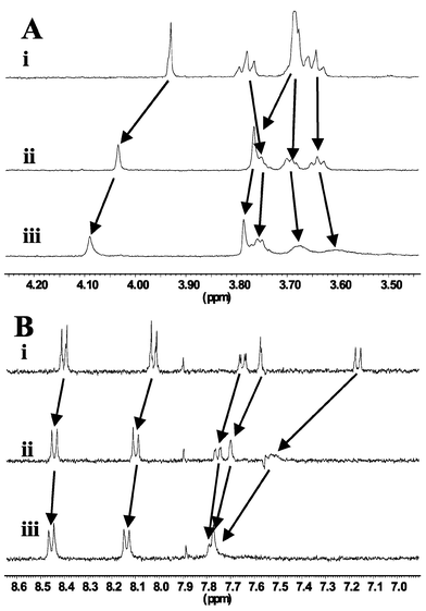 1H NMR spectra of 2 (1 mM) in CD3OD, showing the: (A) 2′-methoxy protons, and the crown ether protons; (B) the aromatic protons: (i) without Na+, (ii) with 5 equivalents of NaPF6, (iii) with 20 equivalents of NaPF6.