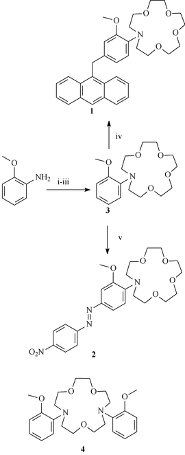 Synthesis of compounds 3, 1 and 2: (i) Na2HPO4, KI, ClCH2CO2CH3 and CH3CN; (ii) LiAlH4, THF; (iii) NaH, THF, (TsOCH2CH2OCH2)2; (iv) ZnBr2, CH2Cl2; (v) a. (NO2)C6H4NH2, NaNO2, HCl, THF–H2O (1 ∶ 1), b.3.