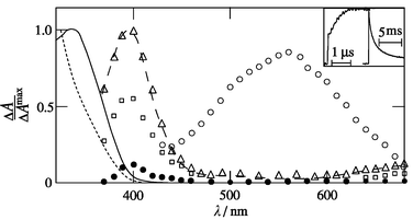 Transient absorption spectra of 1-NN in argon-saturated acetonitrile in the presence of TEA (5 mM) at 20 ns (○), 0.1 μs (□), 1 μs (△) and 10 ms (●) after excitation by 354 nm pulses; inset: kinetics for grow-in and decay at 400 nm; ground state prior to (full) and after conversion (broken) with λirr
= 366 nm.