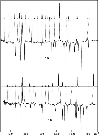 IR difference spectra for the 365 nm bleaching of the heteropentalene 1b (top) and its dimethyl derivative 1c (bottom), respectively, in an Ar matrix. The bands of 1b and 1c, respectively, point down, those of the photoproducts point up. The simulated spectra of the triazasemibullvalenes 2b and 2c, respectively, based on B3LYP/6-31G* calculations of their vibrational structure, are plotted above the experimental spectra. Note the excellent accord between the experimental spectra of the photoproducts and these simulations.
