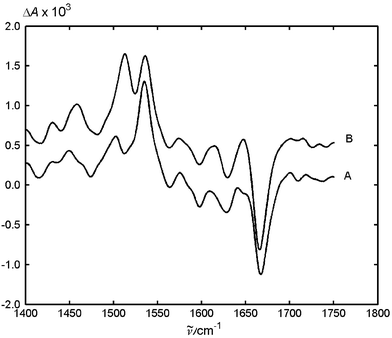 Difference FTIR absorption spectra of MeNQ with (A) 0.009 M DTBA, and (B) 0.009 M DTBA and 0.025 M LiClO4, taken 500 ns after excitation. Spectrum B is vertically shifted for presentation.