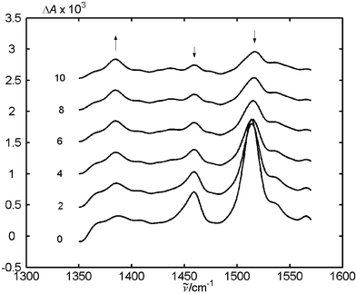 Transient FTIR spectra of MeNQ + DMA with LiClO4 in CD3CN. The spectra taken with delays of 2, 4, 6, 8, 100 μs after flashing were shifted for clarity. Arrows mark the significant temporal changes in the spectra.