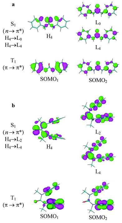 Nodal properties of orbitals for major components of S1 and T1 states for (a) Ia and (b) Ib.