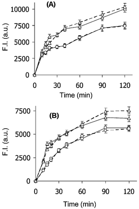 Reaction progress curves for the increase of intracellular fluorescence intensity upon RBAc incubation of B16 (○), B16/Dx (Δ) cells (A), and in A2780 (○), A2780/Dx (Δ) cells (B); untreated (——) and Vp-treated (). Each point of the curve is the mean of three independent experiments. SE ≤ 5%.