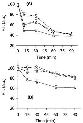 Time course of the persistence of RB fluorescence in cells incubated with RBAc for 120 min, and transferred in a drug-free medium. B16 (○), B16/Dx (Δ) cells (A), and A2780 (○), A2780/Dx (Δ) cells (B); untreated (——) and Vp-treated (). Each point of the curve is the mean of three independent experiments. SE ≤ 5%.
