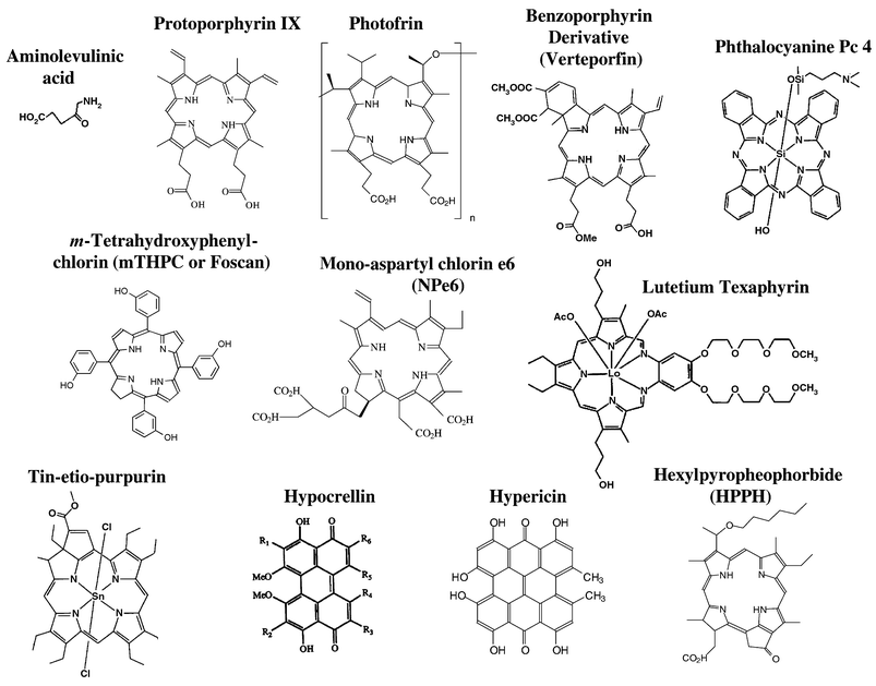 Names and structures of selected photosensitizers in clinical or pre-clinical studies. Three of these have obtained regulatory approval for clinical PDT: Photofrin; benzoporphyrin derivative (Verteporfin); and aminolevulinic acid (Levulan), which is not a photosensitizer but a metabolic precursor of protoporphyrin IX.