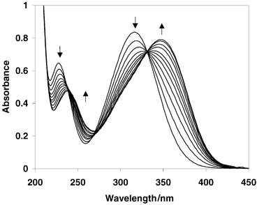 UV-Vis traces of the acid-catalyzed photodecarboxylation of 5 in 1 ∶ 1 H2O–CH3CN, pH 2 (λex
= 300 nm; deaerated). Each trace represents 5 s of photolysis. The longer wavelength band that increases in absorbance at 350 nm is that of p-(p′-nitrosophenyl)benzyl alcohol (9). These UV-Vis changes were not observed at pH > 3 where the normal photodecarboxylation route takes place (where the change in chromophore on decarboxylation is minimal).