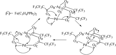 Pd O2ccf2cf3 O 2 Dppf And Pdag M O2ccf2cf3 2 O2ccf2cf3 O Dppf Dppf 1 1 Bis Diphenylphosphino Ferrocene A Stable Pd Ii Phosphine Carboxylate As A Precursor To Heterobimetallic Carboxylates Journal Of The Chemical Society Dalton Transactions