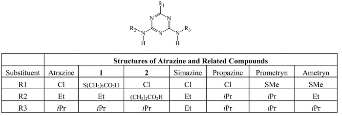 Structures of atrazine and related compounds.