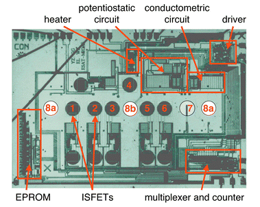 Micrograph of the CMOS multi-parameter biochemical sensor chip, which includes 6 ISFETS (1–6), one conductometric sensor (8a,b) and an (amperometric) oxygen sensor (7). The on-chip circuitry includes an EPROM, a multiplexer and counter, a driver unit, a conductometric and potentiostatic circuit and a heater. Reprinted with permission from ref. 181.