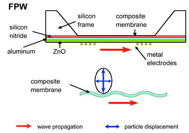 Schematic of a flexural plate wave device. The side view shows the different layers and the membrane movement. Interdigitated electrodes are used for actuation.