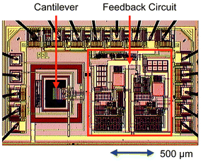 Micrograph of a 150 μm-long CMOS-integrated cantilever with on-chip feedback circuitry.
