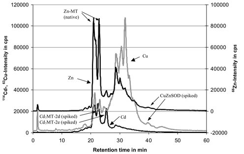 HPLC-ICP-MS chromatogram of the SEC-fraction (molecular weight range of MT and SOD) of the TRIS extract from a spiked liver sample (C4 reversed phase column; flow rate 0.45 mL min−1; 10 mM ammonium acetate buffer with methanol gradient; isotopes 114Cd, 63Cu, 66Zn are displayed). For further details refer to Nischwitz et al.14
