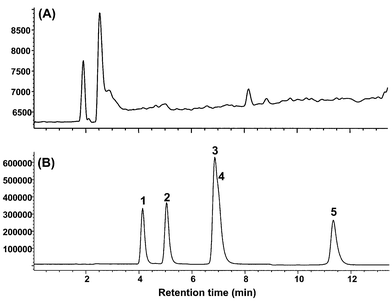 SIM chromatogram of an blank plasma sample (A) and a spiked plasma sample at 1 μg ml−1 of a five catechin mixture (B). 1, EGC; 2, C; 3, EGCG; 4, EC; 5, ECG.