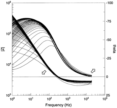Impedance spectra obtained during amide formation as a function of time.