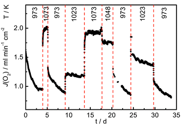Oxygen permeation flux as a function of time at temperatures in the range 973–1073 K.