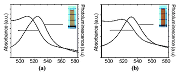 Absorbance and photoluminescence spectra of 1-covered CdSe nanoparticle solutions in (a) dichloromethane and (b) water. The horizontal lines in the figure aid visualization of the transparency of the solutions.