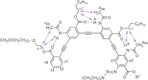 NOEs between adjacent amide and ester groups of tetramer 4 as revealed by NOESY (8 mM in CDCl3, 500 MHz, 263 K, mixing time: 0.3 s).20