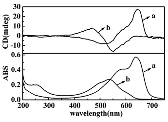 UV-vis and CD spectra of LB films after photopolymerized on quartz plate (a) from pure water (b) from Cu(NO3)2.