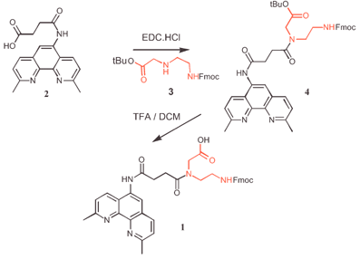 Synthesis of neocuproine-PNA monomer.