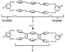 Schematic representation of template-directed solid-state synthesis of the p-cyclophane 3. R = 4-benzyl (2) or 5-OMe.7