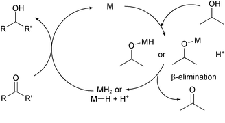 Mechanism of ruthenium-catalyzed hydrogen transfer reactions