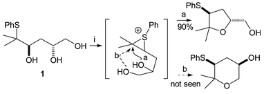 
          Reagents: i. TsOH, CH2Cl2, reflux.