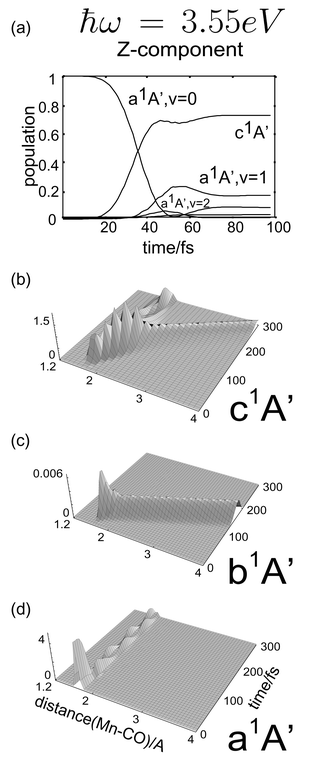 Laser driven simulations of the adiabatic time evolution of CpMn(CO)3 under z-linearly polarized light of ħϖ = 3.55 eV (frequency resonant with the c1A′ state). Panel (a) shows the population dynamics. Panels (b), (c) and (d) show the time evolution of the wavepacket on the c1A′, b1A′ and a1A′ states, respectively.