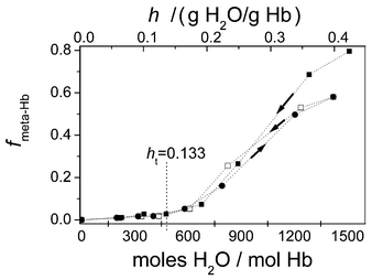 The change in the fraction of metHb (fmetHb) due to the change in water content (h) for the native state from high hydration (■) and the complete loop of the sorption after dried (●) and desorption after dried and rehydration (□).