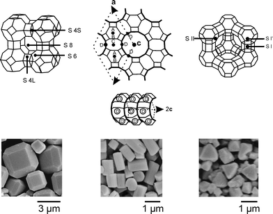 Frameworks of zeolites A, L, and Y showing the crystallographically identified cation positions and SEM pictures of the corresponding zeolite crystals.