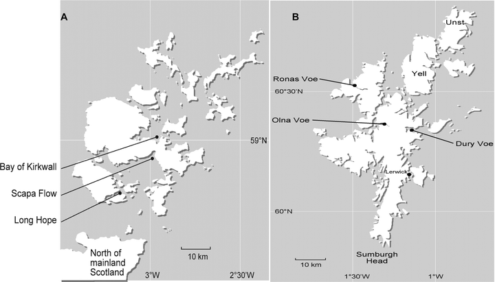 Location of mussel samples collected in 1998 and 1999 from Orkney (A) and Shetland (B). In 1998 mussel samples were collected from Kirkwall Bay and Long Hope in Orkney and Dury Voe (Muckleness and Grunna) and Ronas Voe (head, middle and mouth of voe) in Shetland. In 1999 mussels were collected from Scapa Flow in Orkney and Olna Firth in Shetland. Only the mussels from Olna Firth were rope grown.