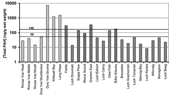 Total PAH concentrations in mussels collected from Scottish coastal areas in 1998 and 1999. Most mussels collected in 1999 had total PAH concentratios within or below typical reference concentrations (17–150 ng g−1 wet weight). Only mussel, collected from Long Hope, Kirkwall Bay and Dury Voe (Grunna) and the estuarine sites of Fairlie, Eden Estuary and Granton East had total PAH concentrations >150 ng g−1 wet weight. Grey: collected March/April 1998; dark grey: collected October and December 1999; block colour: cultivated, rope-grown; striped: natural mussel beds.