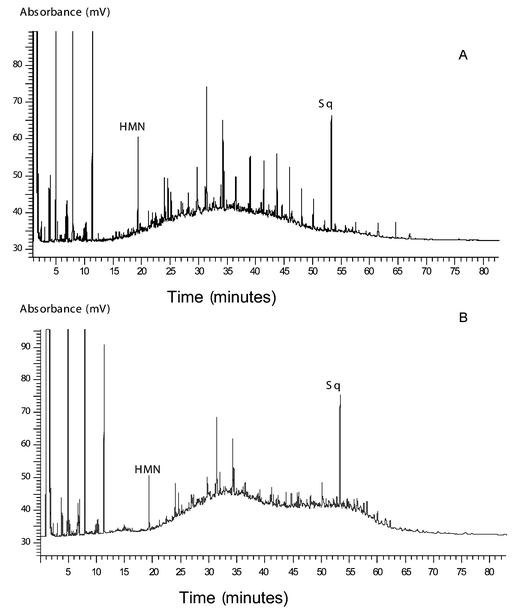 (A) Aliphatic hydrocarbon profile of the Dury Voe (Grunna) mussel sample. The unresolved complex mixture (UCM) maximised at nC18 and suggests petrogenic contamination. Superimposed on this was a series of n-alkanes, mainly between nC12 and nC23 and indicates a more recent input of petrogenic hydrocarbons in this sample. The internal standard used contained squalane (Sq) and heptamethylnonane (HMN). (B) Aliphatic hydrocarbon profile of the Long Hope mussel sample. The UCM present was indicative of petrogenic contamination.