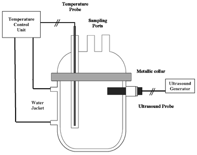 Schematic diagram of the reactor setup.