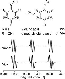 Structure of violuric acid (Vio) and dimethyl violuric acid (dmVio) and EPR-spectra of the corresponding iminoxy radicals. The radicals are the reactive species in the so-called delignification process.