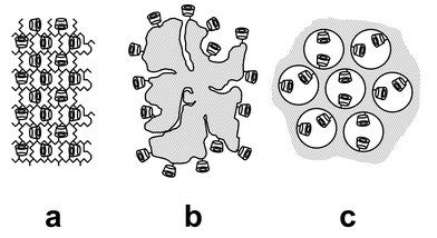 Schematic representations of diverse cyclodextrin-functionalized materials: (a) polymer matrices, (b) coated substrates and (c) nanoporous frameworks.