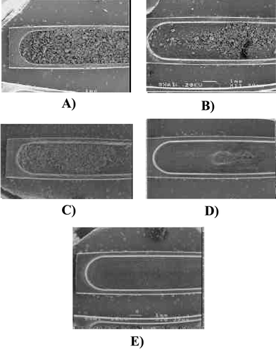 Inner surface (10×- magnification) of a L'vov pyrolytic platform used for the analysis of coal slurries prepared in (A) 0.5% v/v HNO3, (B) in 40% v/v H2O2, (C) previous low temperature ashing for 4 h, (D) previous low temperature ashing for 15 h, (E) previous high temperature ashing (450 °C, constant weight, 6–18 h).